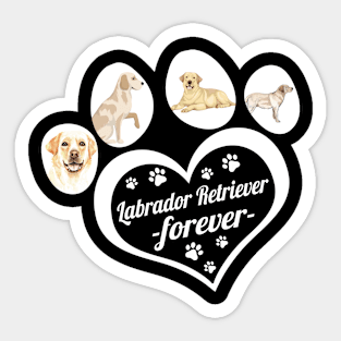 Labrador Retriever forever Sticker